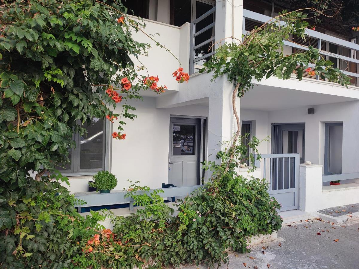 Charming Cozy Suites Naxos City Exteriér fotografie
